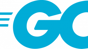 Go Programming (Golang) for Experienced Programmers