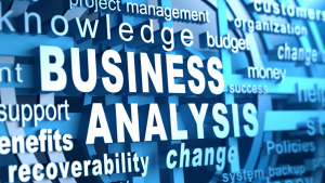 Business Analysis Simulation - Apply Business Analysis Skills in a Real-World Setting
